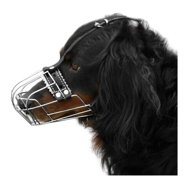 Chrome Metal Dog Muzzle with Leather Straps Adjustable Snout Circumference 7-9 Inches