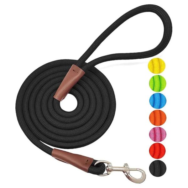 Classic Colors Nylon Rope Dog Leash with Leather Tailor Connection and Metal Clasp