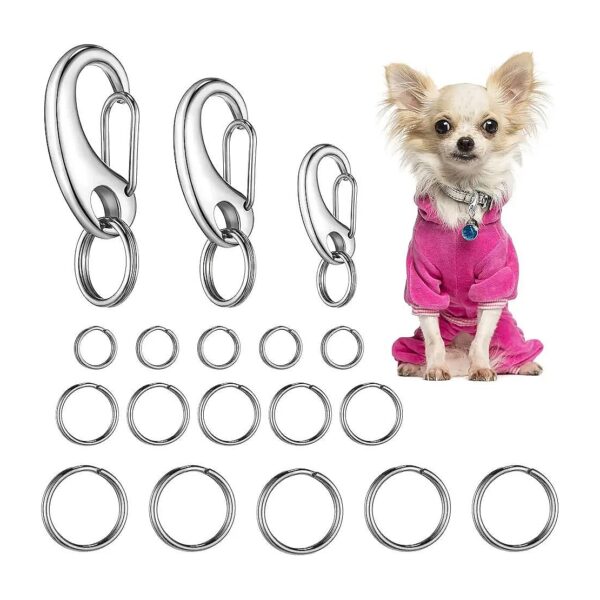 Classic Leash Pet ID Tag Holder with Quick Clips for Pets