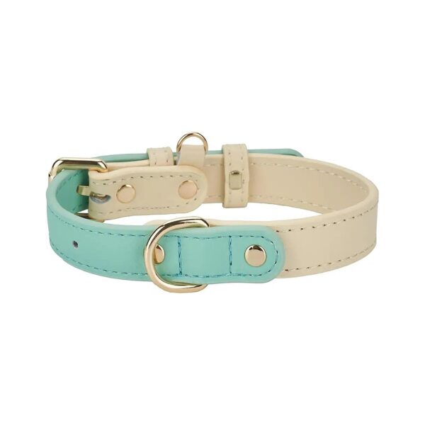 Classic Leather Dog Collar in Mint Green, Medium Size, Adjustable Buckle, and Soft Fabric