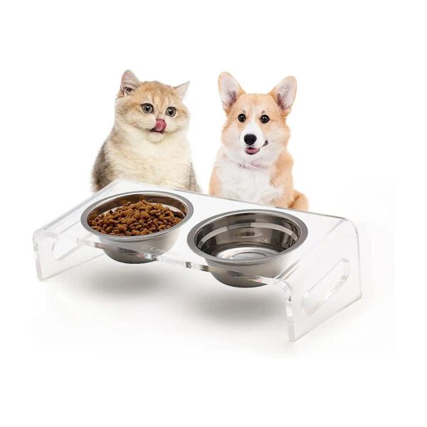 Clear Acrylic Pet Dishes Set for Cats and Small Dogs with 2 Stainless Steel Bowls