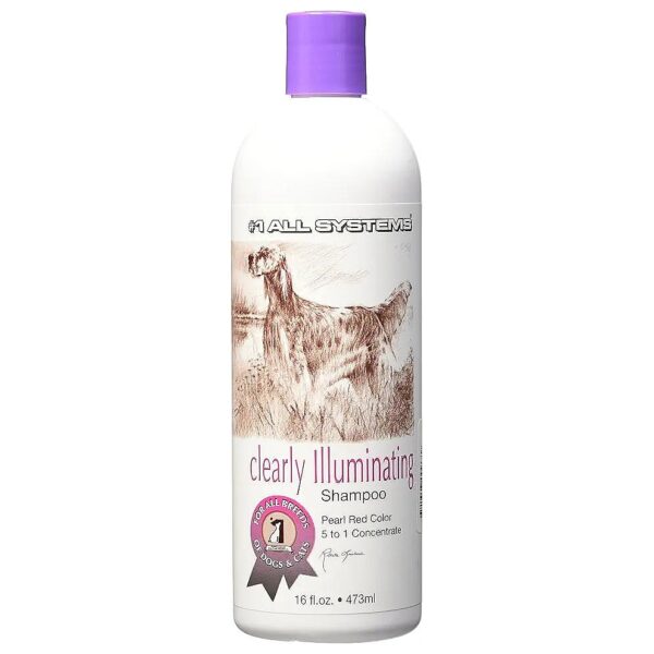 Clear Coat Concentrated Brightening Shampoo 16 Fl Oz