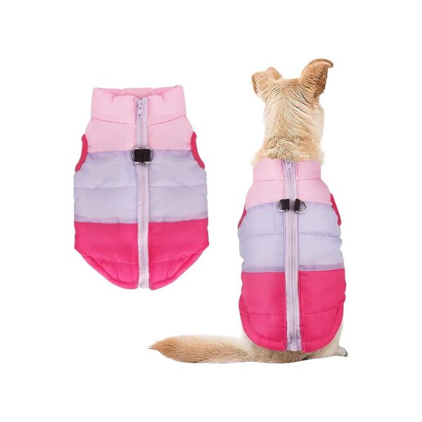 Coastal Rose Red Winter Dog Coat with Color Patchwork Padded Vest for Small Dogs