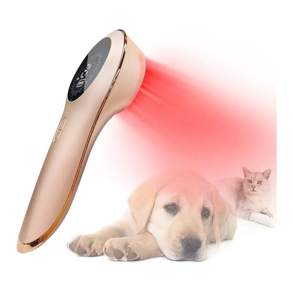 Coldlaser Veterinary Physiotherapy Device for Pet Pain Relief and Arthritis Treatment