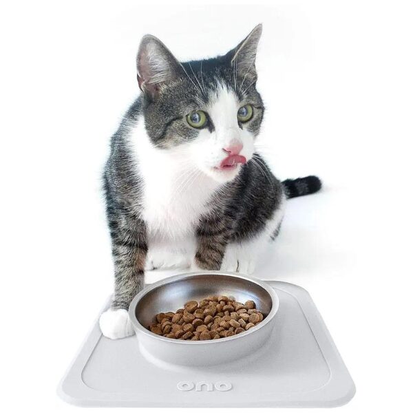 Colorful Gray Feeder with No-Spill Silicone Mat and Easy-Cleaning Bowl for Small Pets