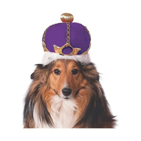 Colorful Mardi Gras King's Crown for Small Breed Pets