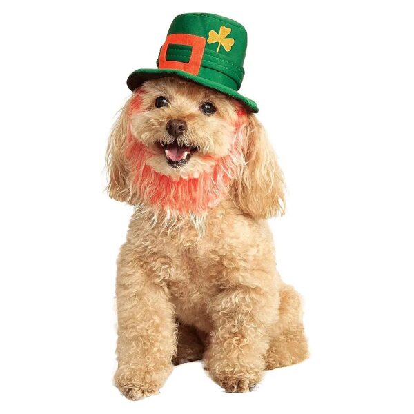 Colorful St Patricks Day Costume Hat with Beard for Small and Medium Dogs