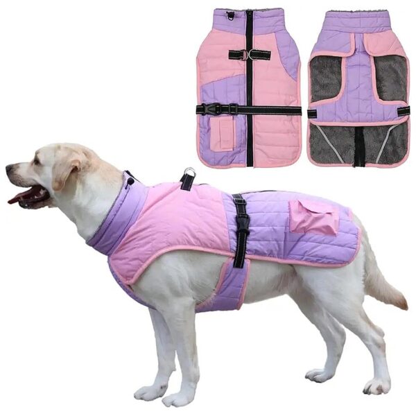 Colour Block Dog Winter Coat with Belt D-Rings Puppy Jacket for Small Medium Large Dogs