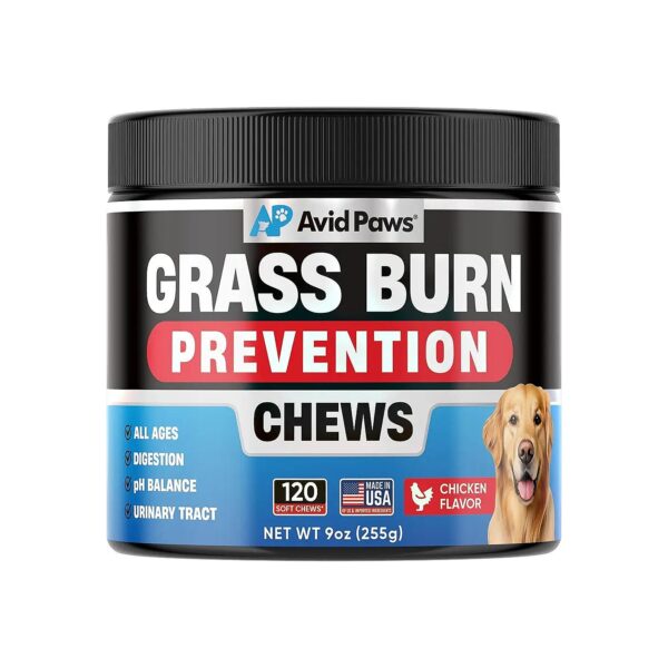 Combat Lawn Burn with Green Grass Dog Chews for Effective Dog Urine Solution