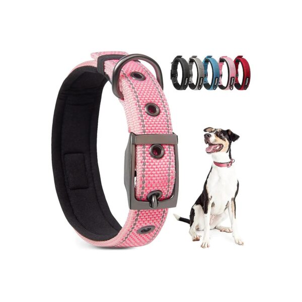 Comfort Collar for Dogs with Neoprene Padding and Heavy Duty Metal Buckle