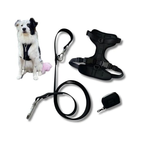 Comfort Fit Medium Dog Harness and Leash Set with Easy Poop Bag Access