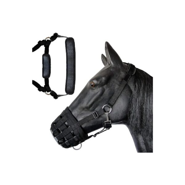 Comfort Lined Grazing Muzzle for Arab Horses with Neoprene Nose and Waffle Basket