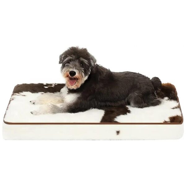 Comfortable 3 Inch Thick Memory Foam Dog Bed with Durability and Support for Medium Dogs