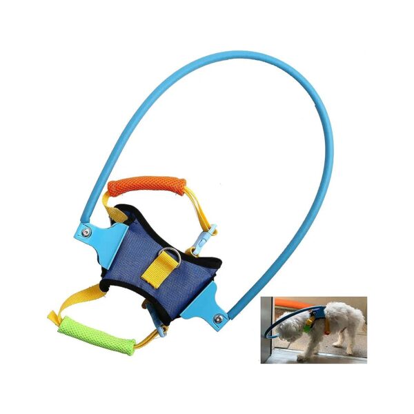 Comfortable Adjustable Blind Dog Harness for All Sizes, Anti-Collision Safety Feature