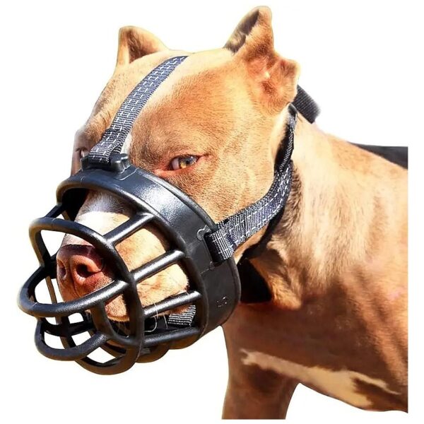 Comfortable Basket Muzzle for Safe Socialization and Handling of Large Dogs