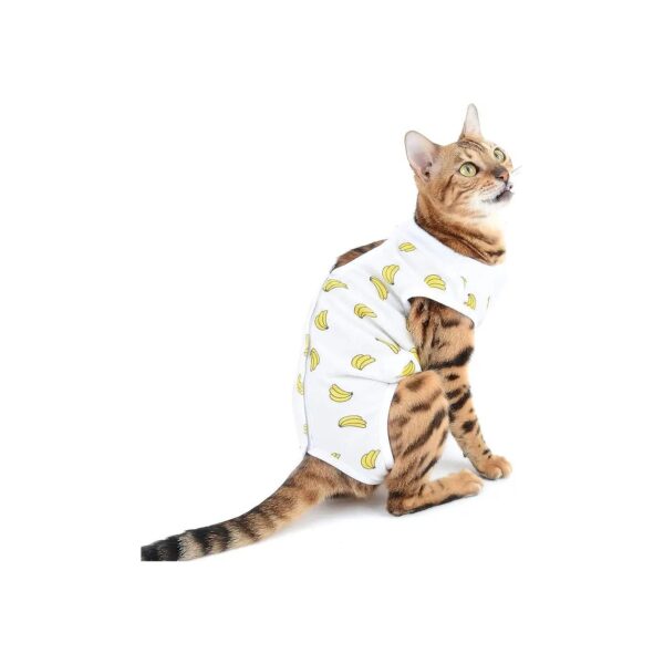 Comfortable Cone E-Collar Alternative Recovery Suit for Small Dog and Cat Patients