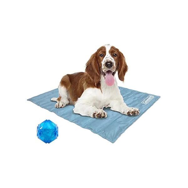 Comfortable Cooling Gel Pad with Pressure Activated Toy for Dogs of All Ages