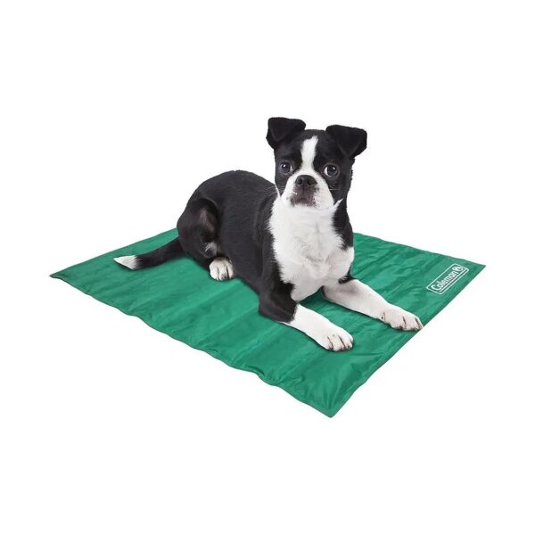 Comfortable Cooling Gel Pet Mat for Small Pets Stay Cool in Style