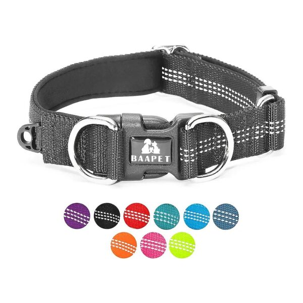 Comfortable Dog Collar with Double Security D-Rings and ID Tag for Small to Large Dogs