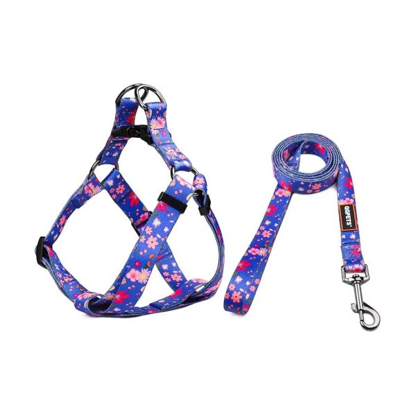 Comfortable Dog Harness Leash Set with Adjustable Straps and Heavy Duty Hardware