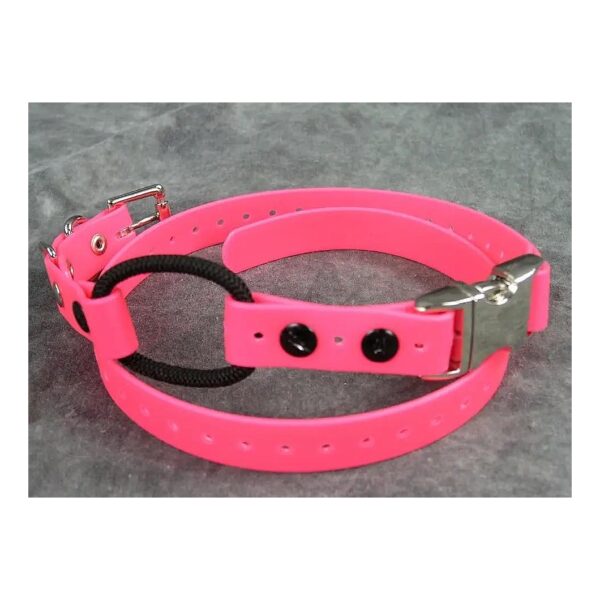 Comfortable Dog Training Collar Strap with Bungee and Quick Disconnect Feature