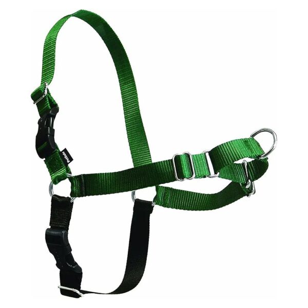 Comfortable Dog Walking with Our Small Breed No-Pull Harness Size Small