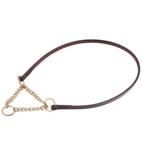 Comfortable Gold Chain and Brown Leather Martingale Dog Collar for Walking Training