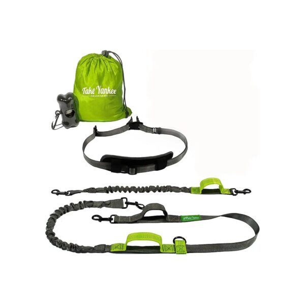 Comfortable Hands-Free Bungee Leash for Two Dogs