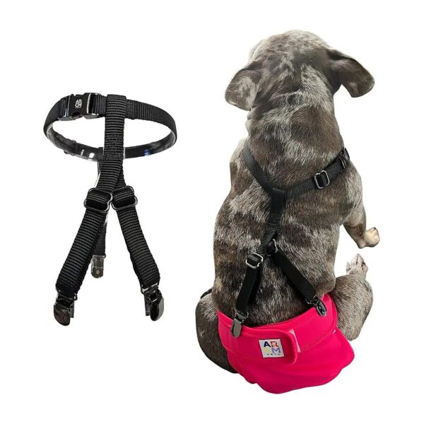 Comfortable Pet Suspenders for Diapers and Garments