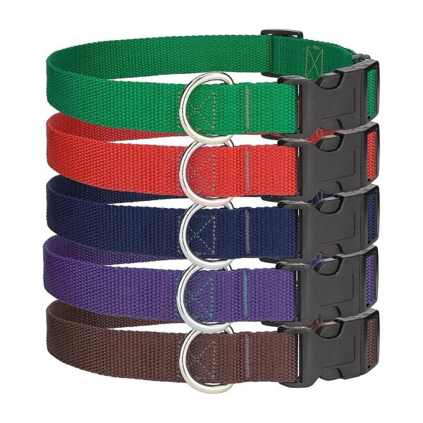 Comfortable Polypropylene Dog Collars for Large Breed Dogs