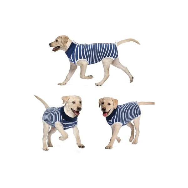 Comfortable Recovery Suit for Pets of All Sizes