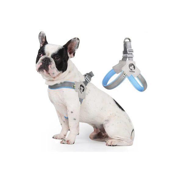 Comfortable Safe and Easy to Wear XL Blue Dog Harness for Small Medium Large Dogs