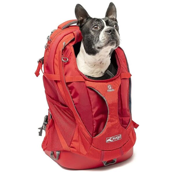 Comfortable Small Dog and Cat Backpack for Hiking Camping and Travel