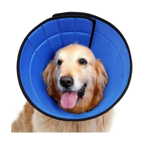 Comfortable Soft Cone for Dogs After Surgery Fits Yorkshire Pomeranian Breed Sizes 4