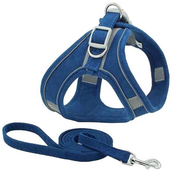 Comfortable and Adjustable Blue Dog Harness with Leash for Small and Medium Size Dogs