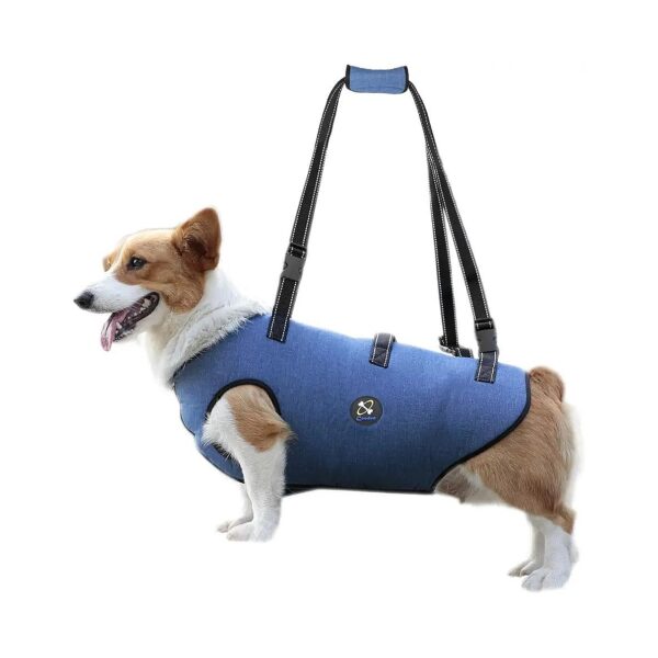 Comfortable and Adjustable Dog Harness for Dogs with Joint Injuries or Arthritis