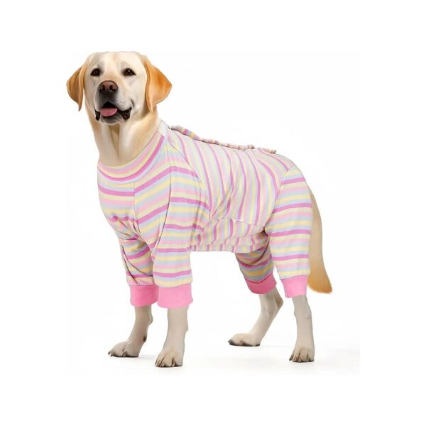 Comfortable and Adjustable Dog Surgery Recovery Suit for Male and Female Dogs