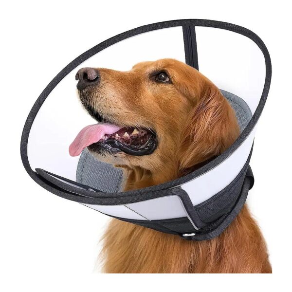 Comfortable and Adjustable Pet Recovery Collar for Cats and Small Dogs