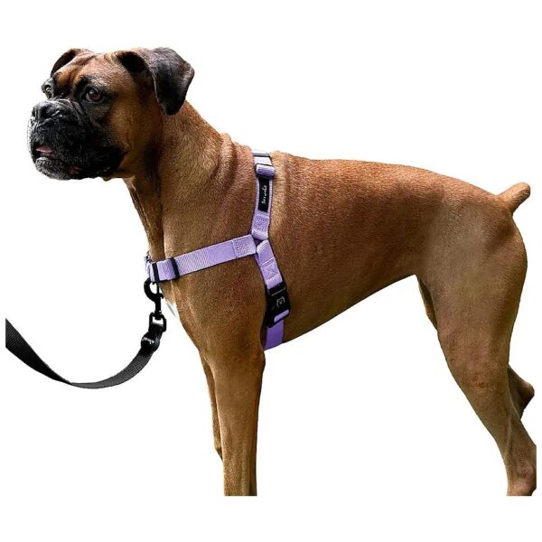 Comfortable and Breathable No-Pull Dog Harness for Small to Large Dogs