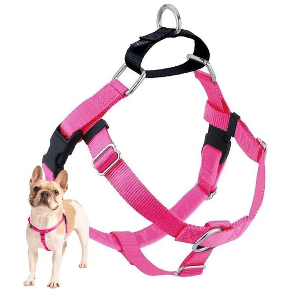 Comfortable and Controllable Dog Harness for Small, Medium, and Large Breeds