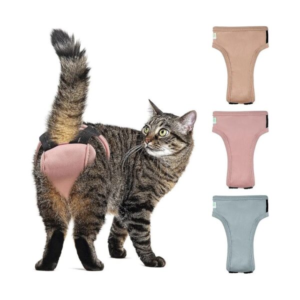 Comfortable and Leak-Free Cat Diapers for Cats of All Sizes