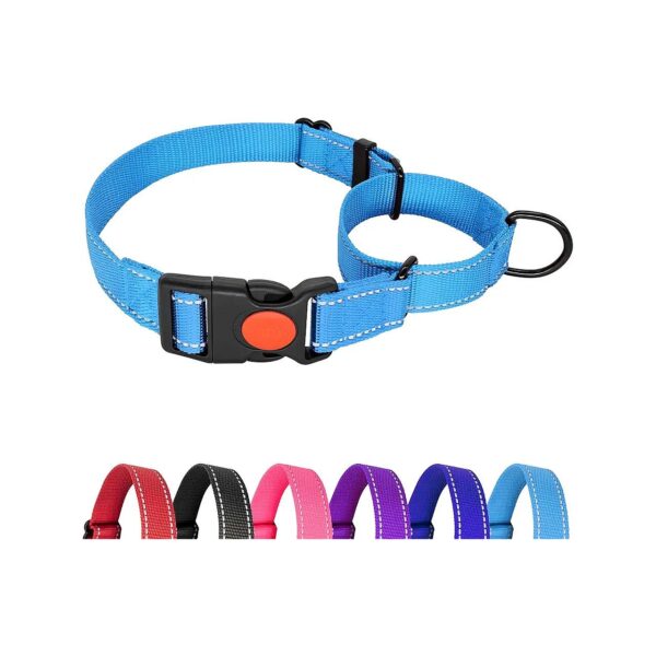 Comfortable and Reflective Martingale Dog Collar for Small Breed Dogs with Safety Lock