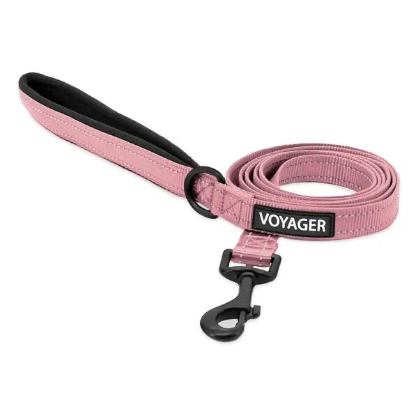 Comfortable and Rugged Dog Leashes for Small, Medium, and Large Puppies