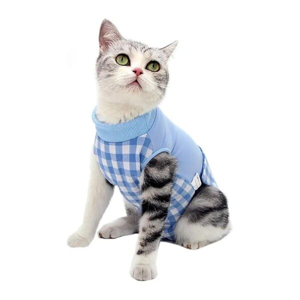 Comfortable and Secure Cat Recovery Suit for Cats with Skin Issues