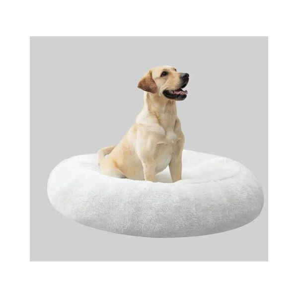 Comfortable and Supportive Dog Bed for Small Dogs with Memory Foam