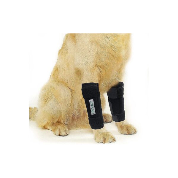 Comfortable and Supportive Dog Front Leg Wrap with Metal Strips for Active Dogs