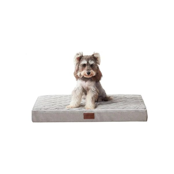 Comfortable and Supportive Orthopedic Dog Bed for Small Dogs with Velvety Cover