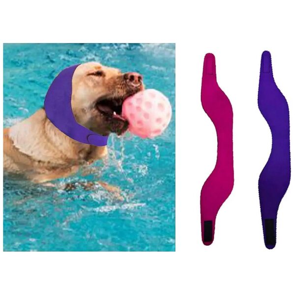 Comfortable and Waterproof Dog Swim Cap for Small Medium Large Breeds