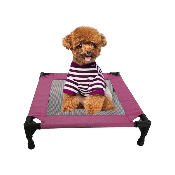 Compact Pet Bed with Purple Color and Elevated Design for Small Dogs