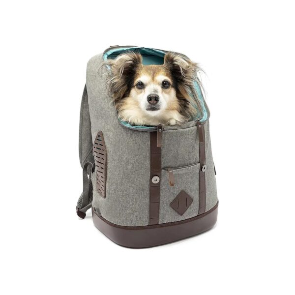 Compact Pet Carrier Backpack for Small Dogs and Cats with Laptop Sleeve